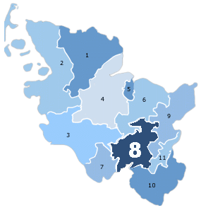 Wahlkreis 8