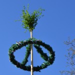Gero Storjohann beim Maibaumaufstellen in Garbek - Bild