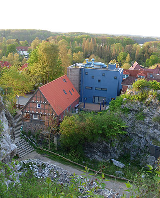 Gero Storjohann im Fledermauszentrum Bad Segeberg - Bild