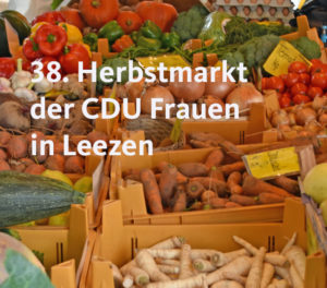 Waffelalarm, Seifenblasen und Bundesnistkastenbau auf dem CDU Herbstmarkt in Leezen - Bild