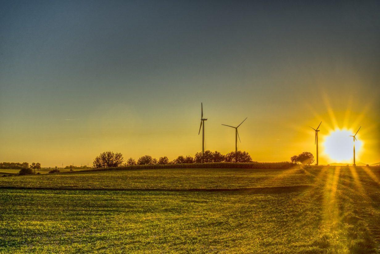 Schleswig-Holstein nutzt Konjunkturpaket für den Klimaschutz - Bild