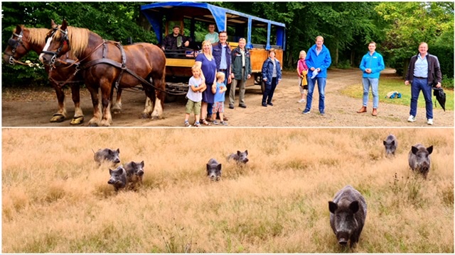 Gero Storjohann mit MIT Kreisverbänden auf Planwagen Tour - Bild