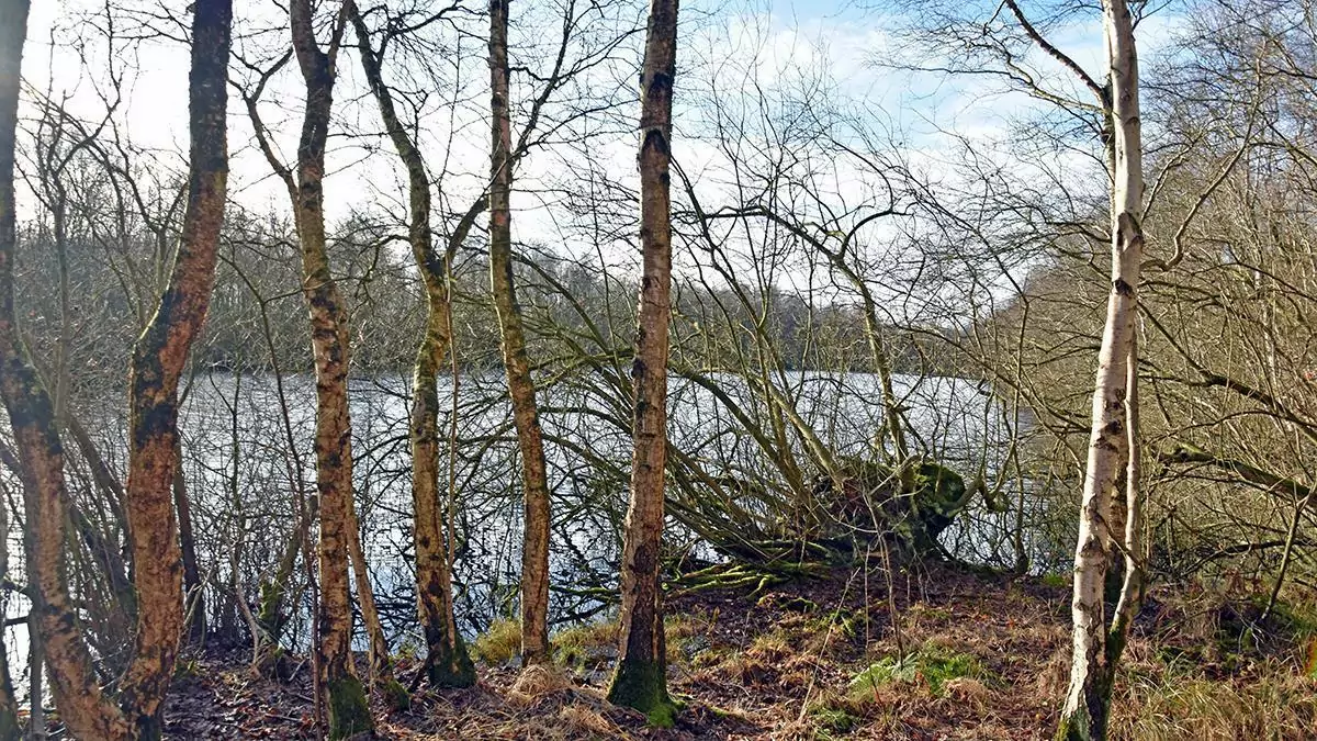 Lundener See