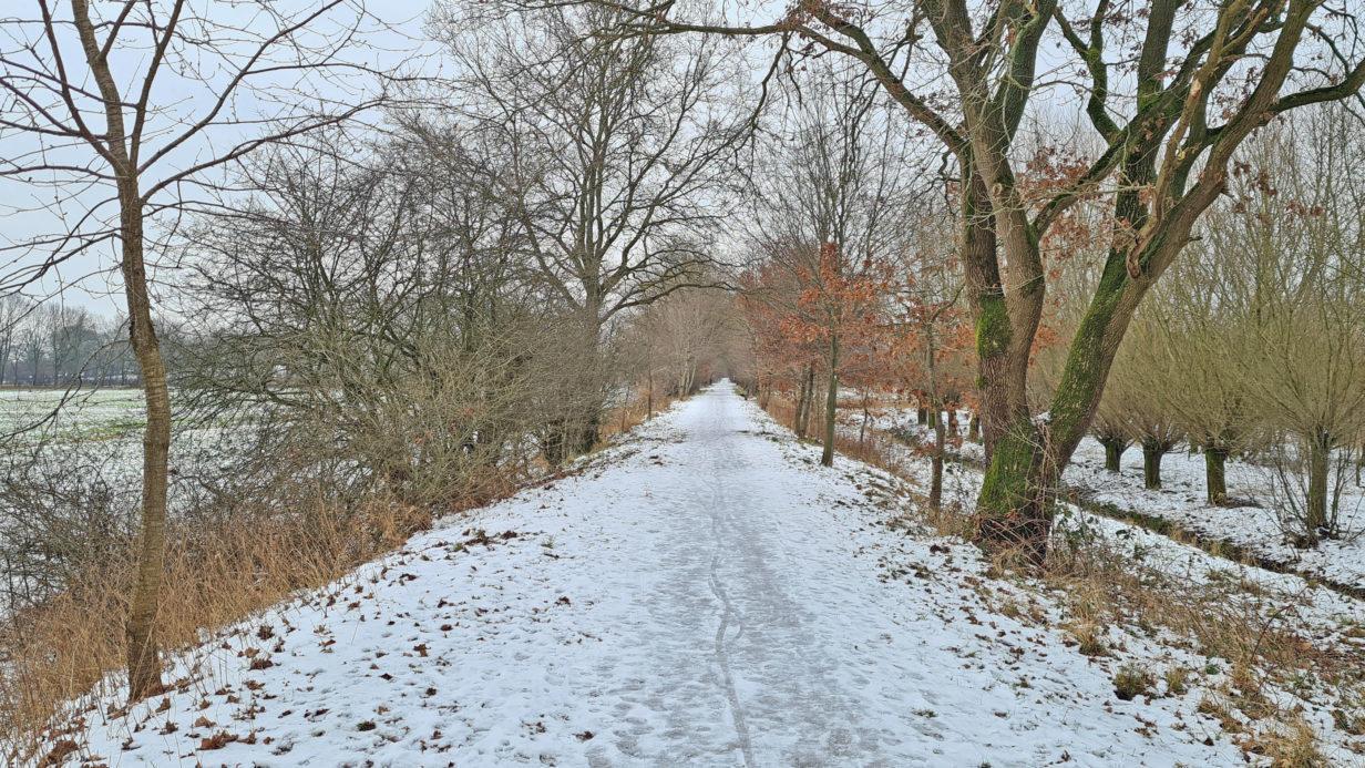 Gero Storjohann - Über die Bahntrasse nach Bad Oldesloe - Bild