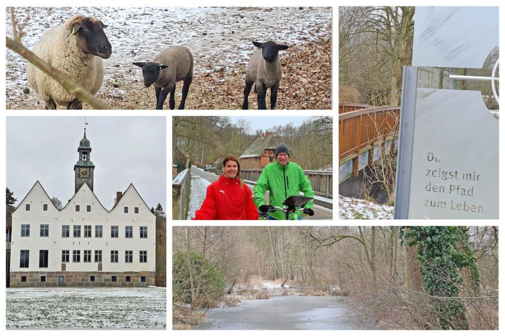 Kloster Nütschau und die Travebrücke - Bild