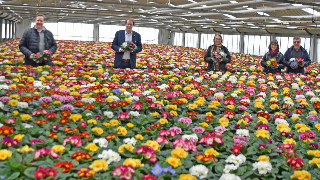 Bundestagsabgeordnete beim Gartenbau-Produktionsbetrieb Edert - Foto Bundestagsabgeordnete beim Gartenbau-Produktionsbetrieb Edert - Bild