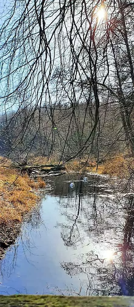 Die Prinzeninsel und das Langloh Moor- Gastbeiträge von Nicole Kemmerich und Melanie Haak - Bild