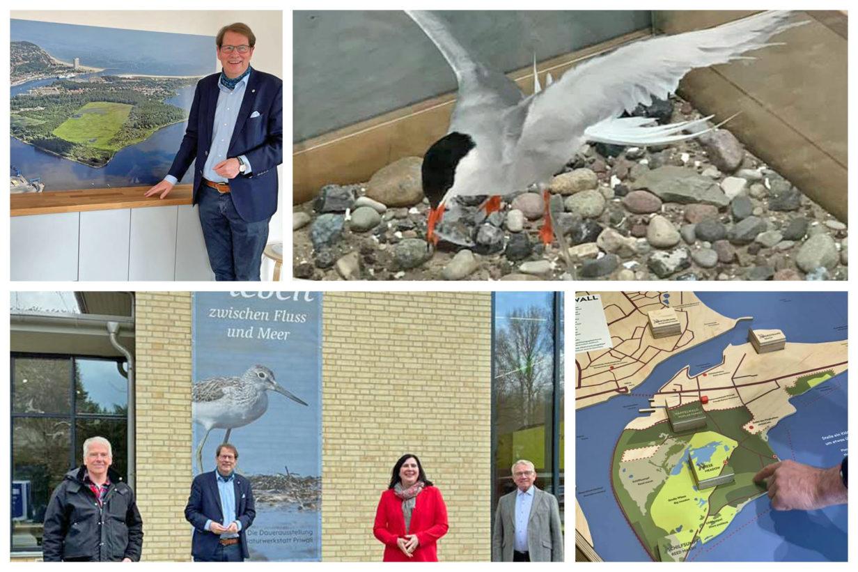 Gero Storjohann besucht die Naturwerkstatt Priwall - Foto Gero Storjohann besucht die Naturwerkstatt Priwall - Bild