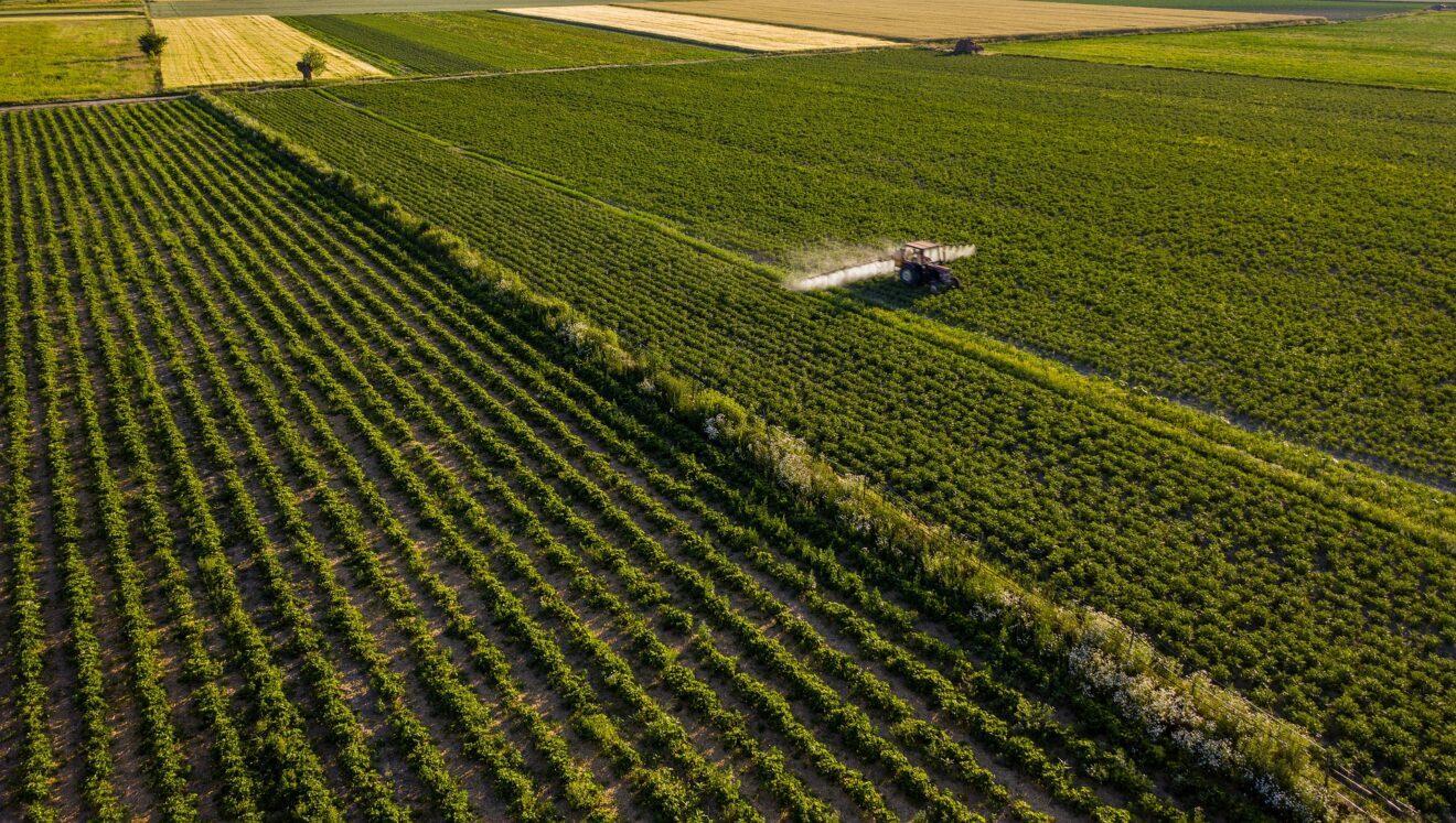 agriculture-gdfb0252c8_1920