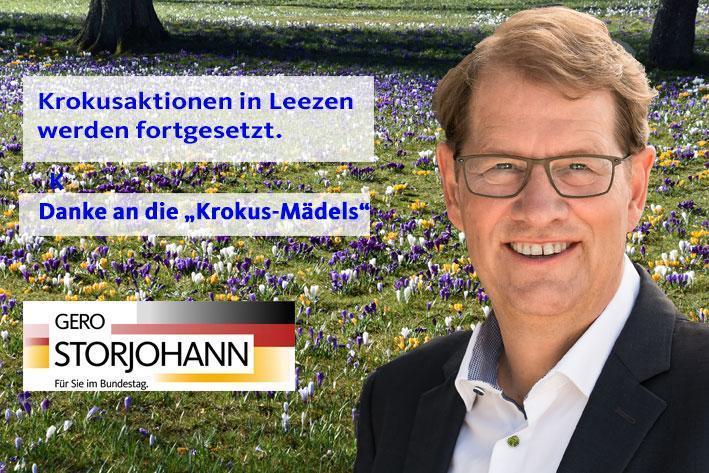 Freude über Wiederbelebung der Krokuspracht in Leezen - Bild