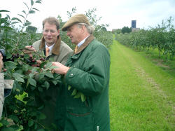 v.l.n.r.: Gero Storjohann und Dr. Bauer begutachten eine Schattenmorelle.